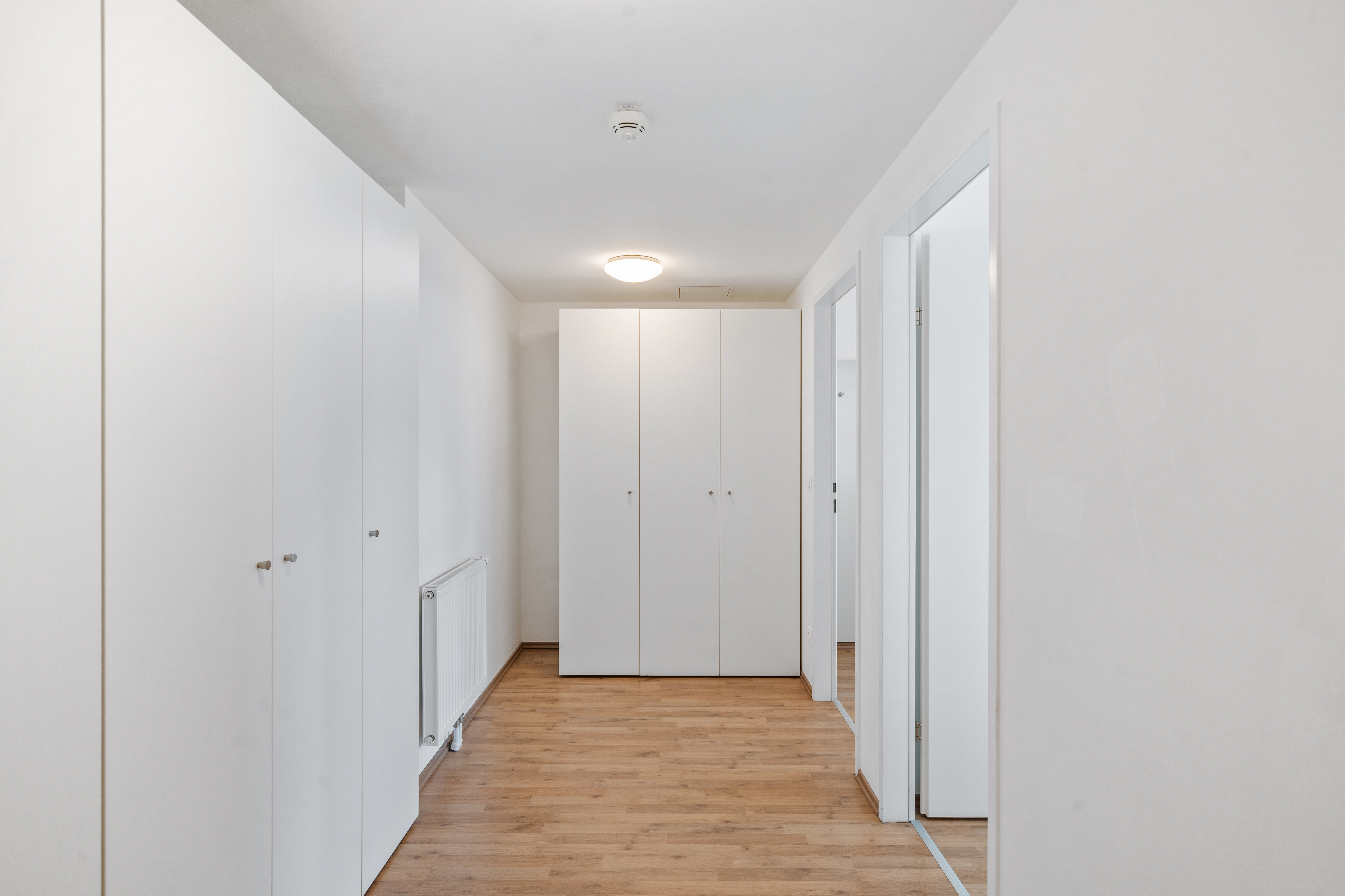 Leerer Flur eines XL-Apartments mit grauer Wandverkleidung, Einbauschränken und Holzboden