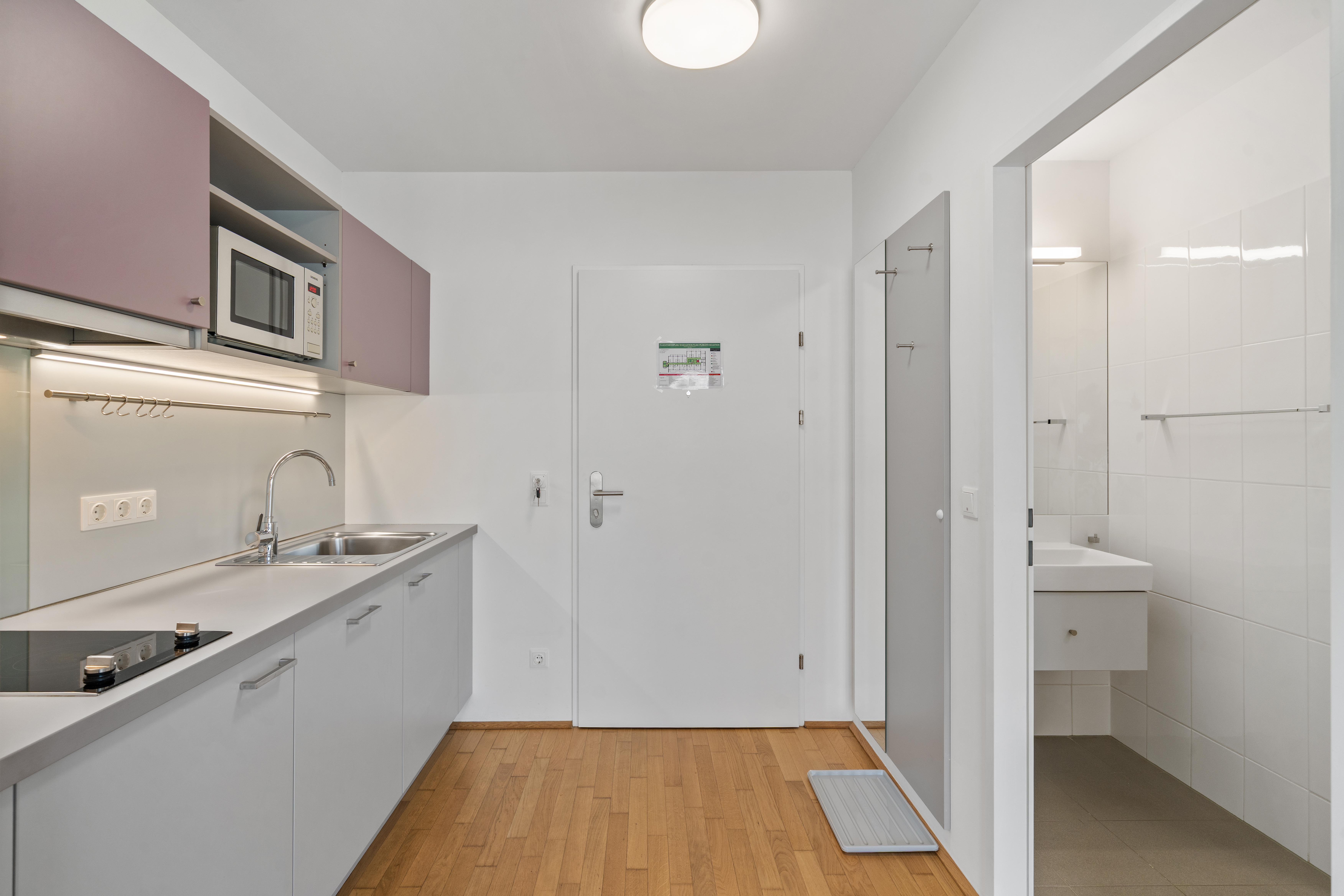 Modernes Apartmentinterieur mit offener Küche, Wohnbereich und Badezimmer, Parkettboden, Küchenschränke in Grau und Pastelltönen, Edelstahlgeräte